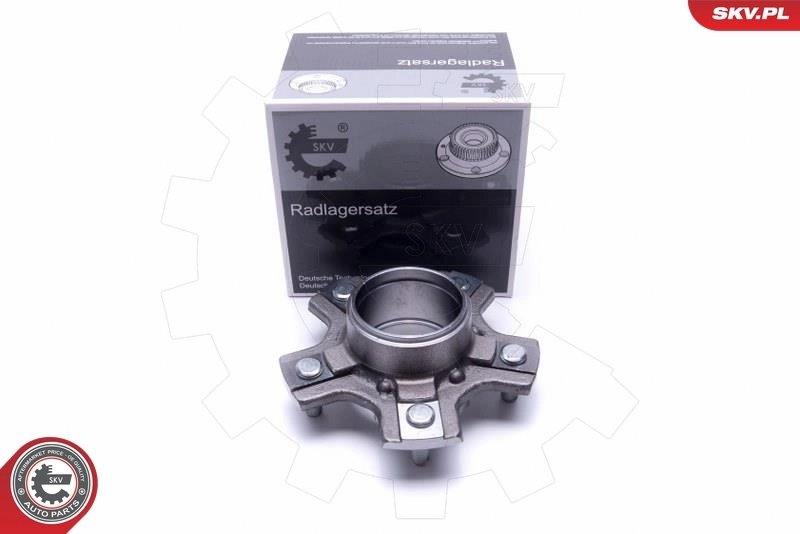 Wheel Bearing Kit